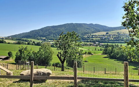Roiderhof