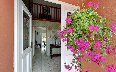 La Toulière: Flor, Rosado, Maceta, Planta De Casa, Floristas, Diseño Floral, Balcón, Inicio De La Puerta