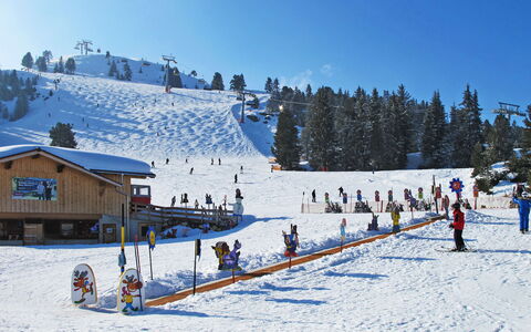 Eberharter am Schweinberg: Árbol, Nieve, Invierno, Recreación, Piste, Hill Station, Congelación, Pendiente, Landform Glaciales