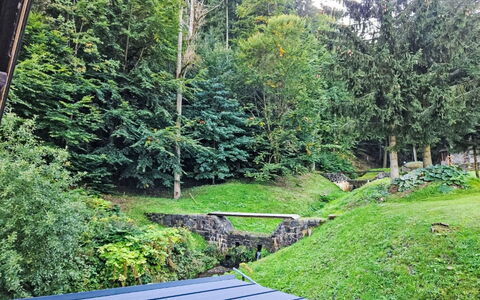 Sára: Hierba, Verde, Hoja, Vegetación, Arbusto, Jardín, Cobertura Del Suelo, Paisajismo, Césped