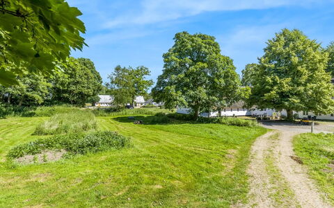 Branderup J 601: Azul, Cielo, Tiempo De Día, Árbol, Hierba, Rama, Naturaleza, Vegetación, Paisaje Natural, Arbusto