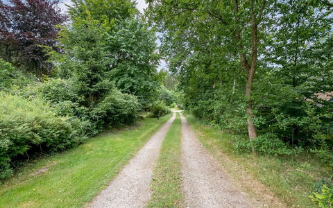 Ry 601: Árbol, Hoja, Verde, Hierba, Vegetación, La Carretera, Paisaje Natural, Arbusto, Sendero, Vía Pública