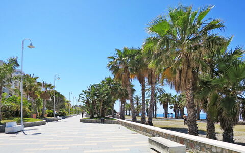 Portichuelo: Árbol, Hoja, El Maletero, Plantas Leñosas, Acera, Pasarela, Sombra, Luz De La Calle, Zona Tropical