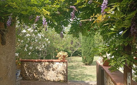 Podere Dolce Sonno e Sonnellino: Arbusto, Jardín, Primavera, Cobertura Del Suelo, Sombra, Yarda, Patio Interior, Paisajismo, Estructura Al Aire Libre, Pérgola