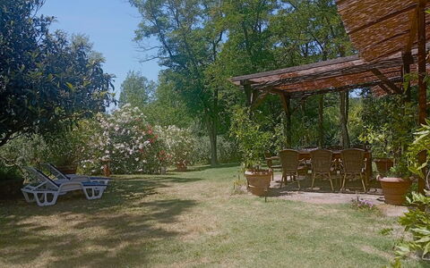 Podere Dolce Sonno e Sonnellino: Arbusto, Mueble, Jardín, Sombra, Patio Interior, Césped, Silla, Mueble Para Exteriores, Estructura Al Aire Libre