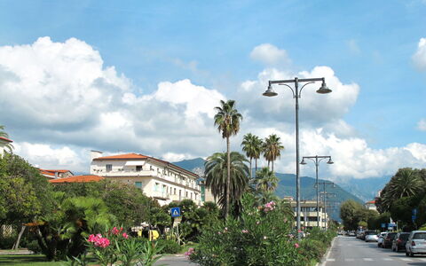 Marina di Massa 651: Cielo, Árbol, Nube, Vía Pública, Luz De La Calle, Cúmulo
