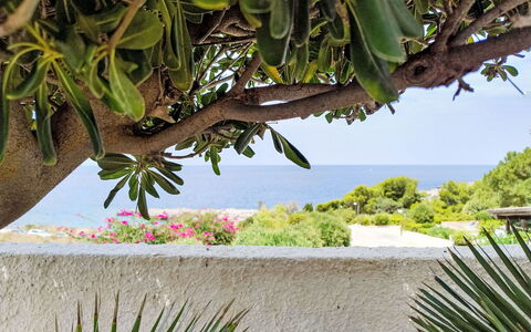 Cala Isulidda: Mar, Oceano, Costa, Zona Tropical, Playa, Caribe