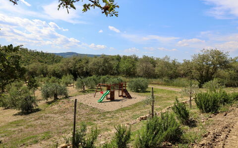 La Calcinaia Country House, Bucine: Árbol, Vegetación, Paisaje, Planta De La Comunidad, Área Rural, El Terreno Del Lote, Llanura, Suelo, Shrubland, Pasto