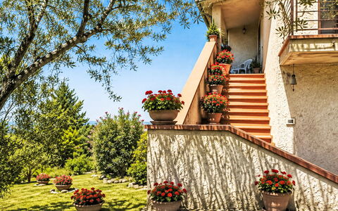 Il Mulinetto: Arbusto, Jardín, Maceta, Paisajismo, Planta De Casa, Escalera, Yarda, Diseño, Balcón