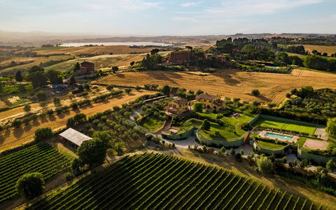 Poderina dei Poggi 12: Paisaje, El Terreno Del Lote, Llanura, Plantación, Área Rural, Campo, Jardín, Agricultura, Vista Panorámica, Inmuebles