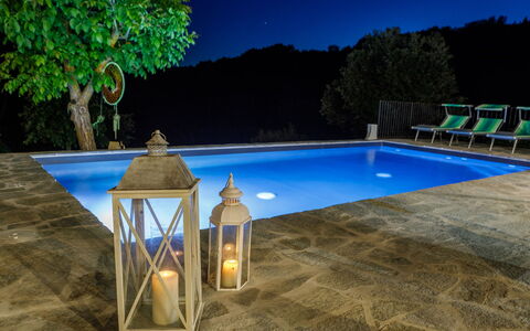 Villa Mia 6: Piscina, Material Compuesto, Maceta, Mueble Para Exteriores, Recurso, Losa, Fuente De Agua, Planta De Casa, Paisajismo, Sombra