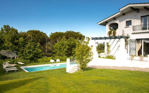 Villa Sarah 10+2: Hierba, Barrio Residencial, Casa, Casa, Arquitectura, Arbusto, Jardín, Inmuebles, Piscina
