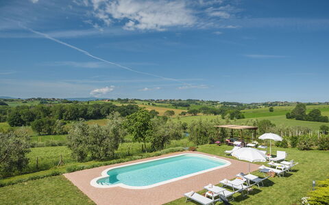 Poggio Vistabella 10: Piscina, Prado, Inmuebles, Césped, Plantación, Casa De Campo, Granja, Agricultura, Villa, Hacienda