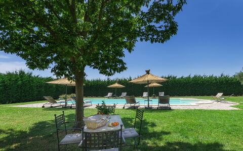 Villa Augusto 10: Mueble Para Exteriores, Piscina, Jardín, Césped, Sombra, Paisajismo, Mesa Al Aire Libre, Recurso, Yarda, Patio Interior