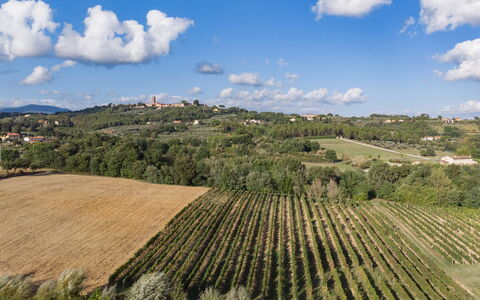 Villa Gabri 8: Área Rural, Paisaje, Campo, Agricultura, El Terreno Del Lote, Llanura, Plantación, Hill Station, Prado, Granja