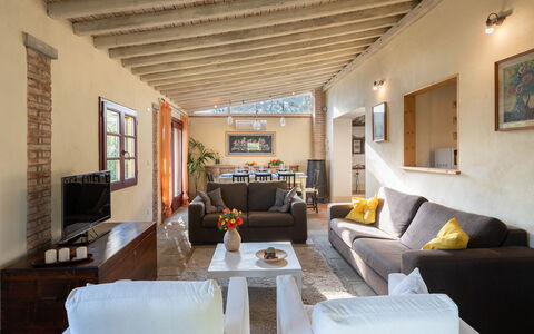 Buca delle Fate 8: Mueble, Sofá, Diseño De Interiores, Pared, Piso, Madera, Suelo, Sala, Techo, Habitación