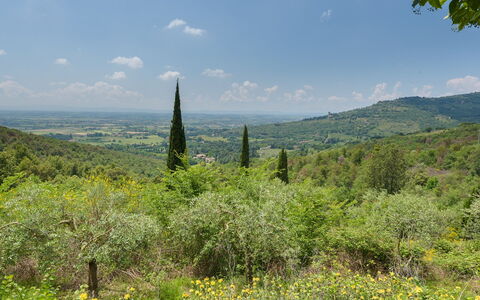 Le Volpaie 6+1: Entorno Natural, Hoja, Vegetación, Paisaje Natural, Colina, Ecorregión, Arbusto, Planta De La Comunidad, Tierras Altas, Paisaje