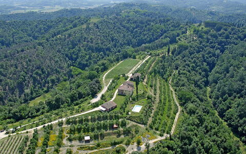 Germagnana 12+2: Entorno Natural, Paisaje, Vista Panorámica, Tierras Altas, Hill Station, Plantación, Área Rural, Bosque, Fotografía Aérea, Campo