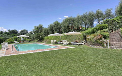 Germagnana 12+2: Arbusto, Jardín, Cobertura Del Suelo, Inmuebles, Césped, Plantación, Casa De Campo, Paisajismo, Villa, Hacienda