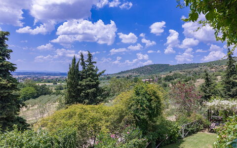 I Mandorli 8: Árbol, Naturaleza, Hoja, Vegetación, Arbusto, Paisaje, Planta De La Comunidad, Colina, Tierras Altas, Hill Station