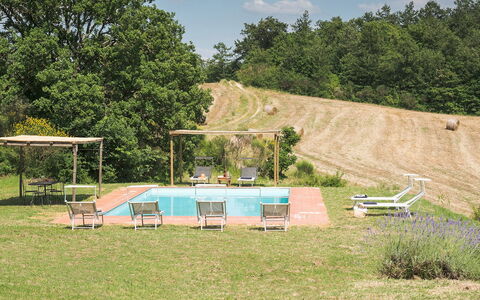 Amantino 8: Árbol, Piscina, Jardín, Ocio, Mueble Para Exteriores, Césped, Sombra, Silla, Patio Interior, Recurso