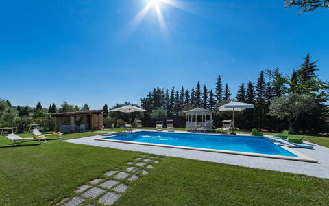 Il Podere di Fi 8: Piscina, Recurso, Jardín, Mueble Para Exteriores, Paisajismo, Césped, Inmuebles, Ocio, Eco Hotel, Sombra