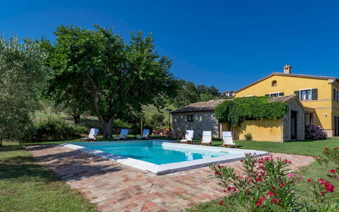Casale Verdicchio 10+2: Inmuebles, Cabaña, Piscina, Casa De Campo, Hacienda, Villa, Césped, Paisajismo, Eco Hotel, Yarda