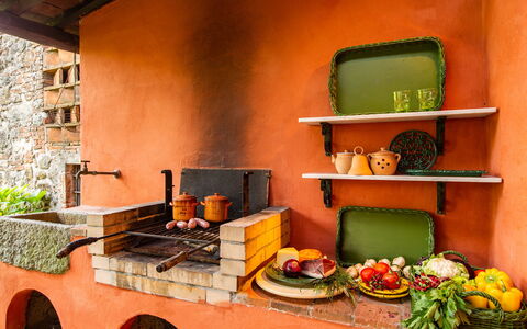 Villa Il Colle di Moriano 8: Naranja, Planta De Casa, Comida, Calor, Cocina, Maceta, Fruta, Estufa
