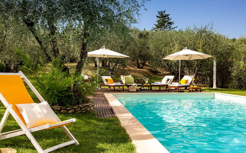 Villa Il Colle di Moriano 8: Mueble, Mueble Para Exteriores, Piscina, Recurso, Sunlounger, Silla, Eco Hotel, Sombra, Jardín, Patio Interior