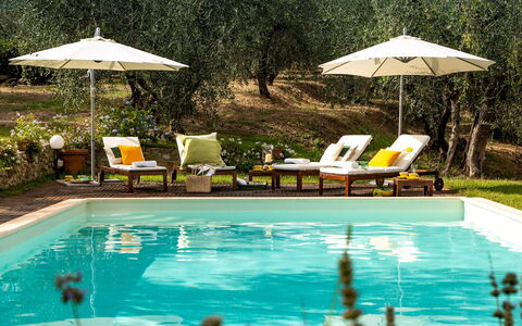 Villa Il Colle di Moriano 8: Piscina, Mueble Para Exteriores, Recurso, Sunlounger, Mueble, Paraguas, Eco Hotel, Jardín, Silla, Sombra