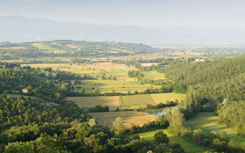 Villa Vittoria D'Anghiari 7+3: Verde, Entorno Natural, Paisaje Natural, Paisaje, Ecorregión, Pradera, Llanura, Tierras Altas, Campo, El Terreno Del Lote