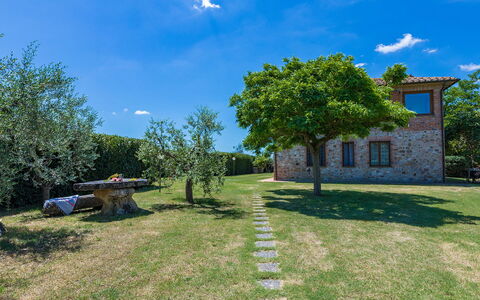 Poggio Medei 10: Cielo, Azul, Hierba, Pradera, Llanura, El Terreno Del Lote, Césped, Jardín, Prado, Casa De Campo