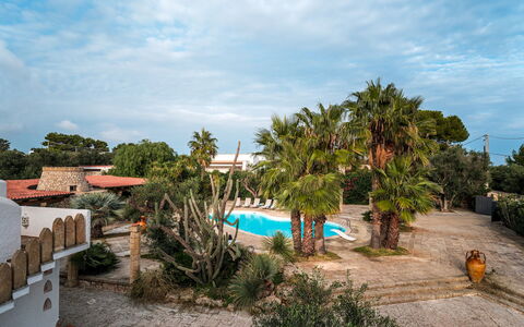 Villa Manco 12: Árbol, Recurso, Sombra, Eco Hotel, Mueble Para Exteriores, Hacienda, Paisajismo, Inmuebles, Zona Tropical
