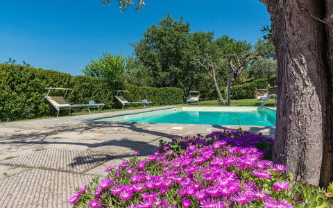 La Torretta 10