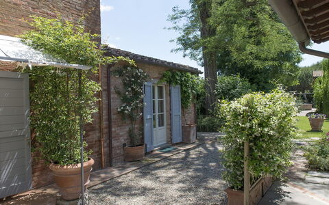 Albachiara 8
