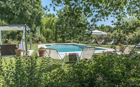 Albachiara 8: Arbusto, Mueble Para Exteriores, Piscina, Jardín, Sombra, Paisajismo, Patio Interior, Ocio, Silla, Recurso