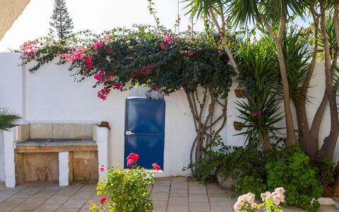 Villa del Lentisco 8+2: Flor, Maceta, Arbusto, Jardín, Planta De Casa, Sombra, Paisajismo, Yarda, Patio