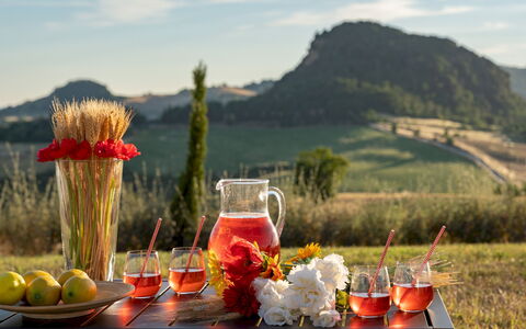 Il Poggiarellone 14: Vajilla, Comida, Drinkware, Utensilios Para Servir, Ingrediente, Barware, Stemware