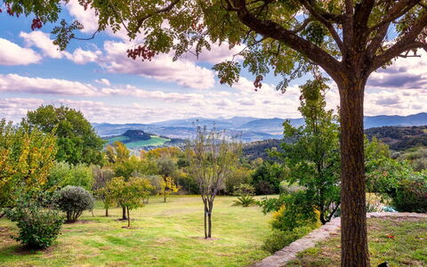 Cinque Cipressi 8: Árbol, Hoja, Naturaleza, Entorno Natural, Verde, Hierba, Accidentes Geográficos Montañosas, Paisaje Natural, Vegetación, Rama