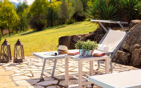 Cinque Cipressi 8: Mueble, Mueble Para Exteriores, Mesa, Silla, Mesa Al Aire Libre, Patio, Sombra, Mesa De Café, Jardín, Cocina Y Comedor Mesa