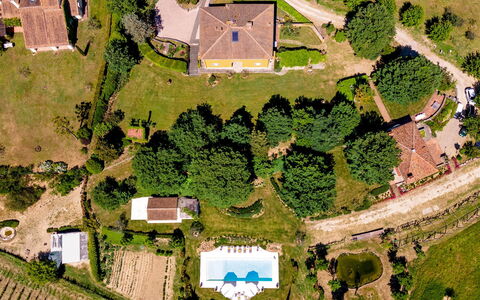 Le Querce dei Medici 12+2: Árbol, Casa, Barrio Residencial, Paisaje, El Terreno Del Lote, Área Rural, Casa, Llanura, Asentamientos Humanos, Inmuebles