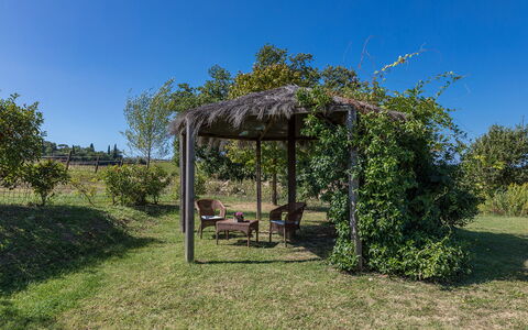 Villa Palazzaccio 26: Arbusto, Jardín, Sombra, Estructura Al Aire Libre, Kiosko, Pérgola, Paisajismo, Pabellón, Plantación