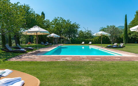 San Francesco 12: Azul, Piscina, Jardín, Inmuebles, Paisajismo, Césped, Eco Hotel, Recurso, Plantación, Hacienda