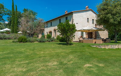 San Francesco 12