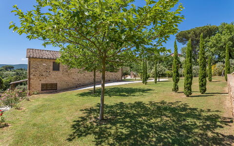 Bossoncina 8+1: Hoja, Jardín, Primavera, Sombra, Plantas Leñosas, Paisajismo, Césped, Patio Interior, Yarda, Pasarela