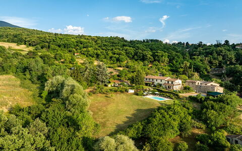 Casale le Conce 6: Árbol, Vegetación, Área Rural, Inmuebles, Bosque, Hill Station, Prado, Eco Hotel, Pasto, Plantación