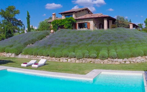Casale delle Lavande 10: Arbusto, Jardín, Paisajismo, Piscina, Hojas Perennes, Patio Interior, Yarda, Plantación, Recurso
