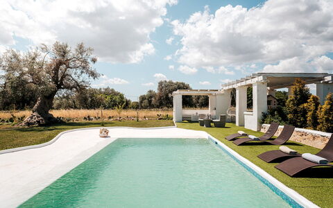 White Stone House 6+1: Piscina, Inmuebles, Jardín, Césped, Paisajismo, Sombra, Hacienda, Villa, Patio Interior, Yarda
