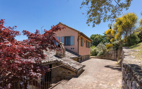 Dalmanuta 8: Pared, Árbol, Casa, Área Rural, Casa, Asentamientos Humanos, Cabaña, Pendiente, Pueblo, Cerca