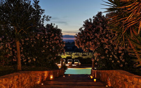 Virginia 8: Oscuridad, Encendiendo, Noche, Noche, Puesta De Sol, La Iluminación Del Paisaje, Piscina, Resplandor Crepuscular, Amanecer, Jardín